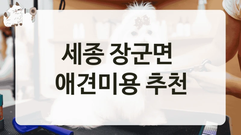 세종 장군면  애견미용 추천