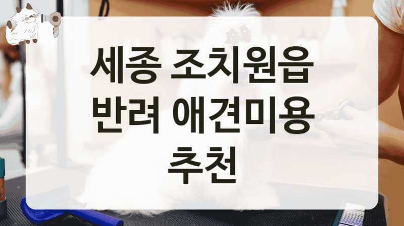 세종 조치원읍 반려 애견미용 추천