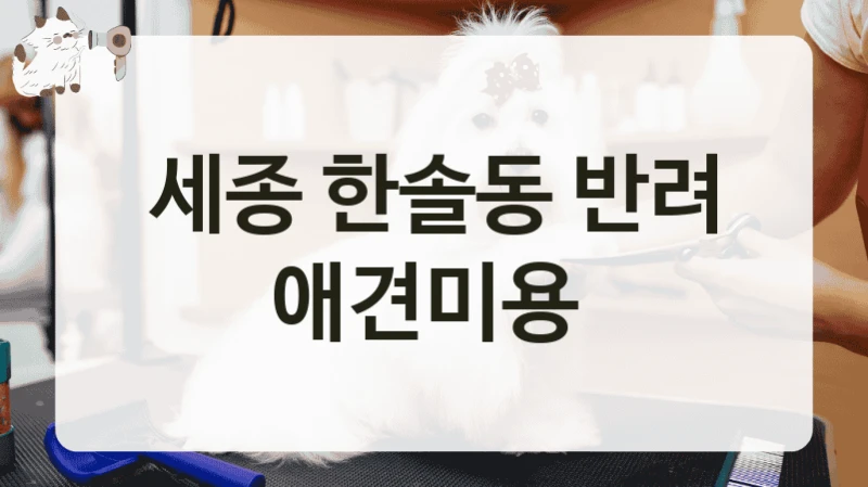 세종 한솔동 반려 애견미용