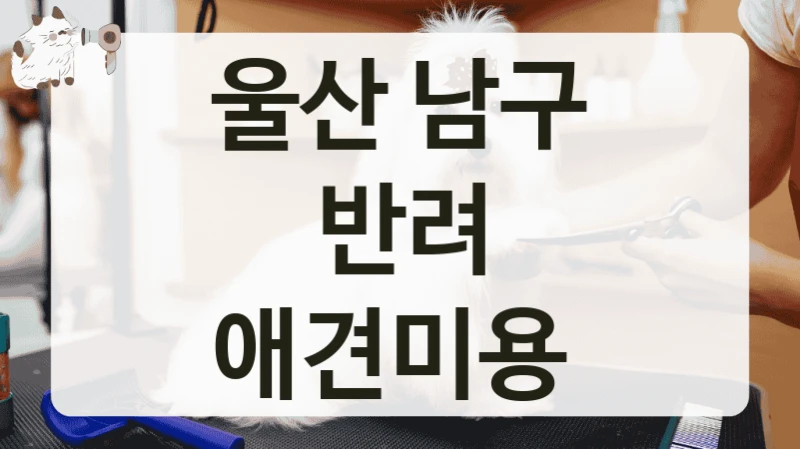 울산 남구 반려 애견미용