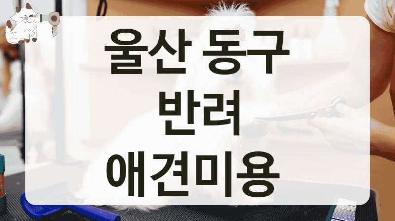 울산 동구 반려 애견미용