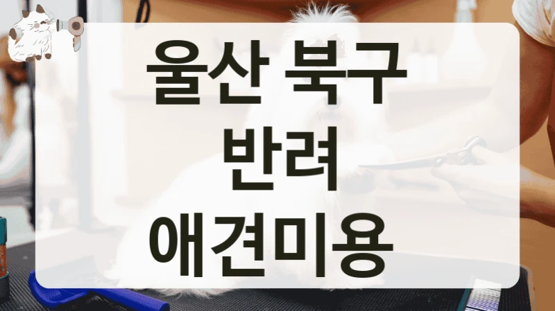 울산 북구 반려 애견미용