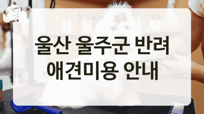 울산 울주군 반려 애견미용 안내