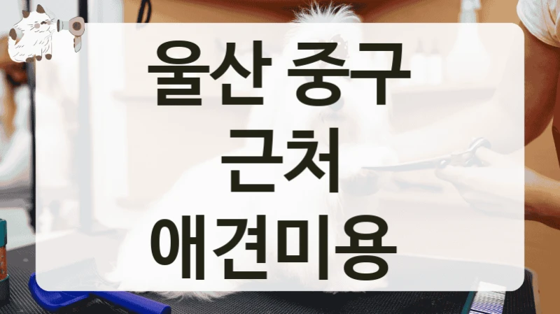 울산 중구 근처 애견미용