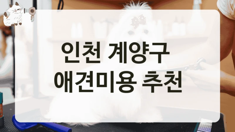 인천 계양구  애견미용 추천