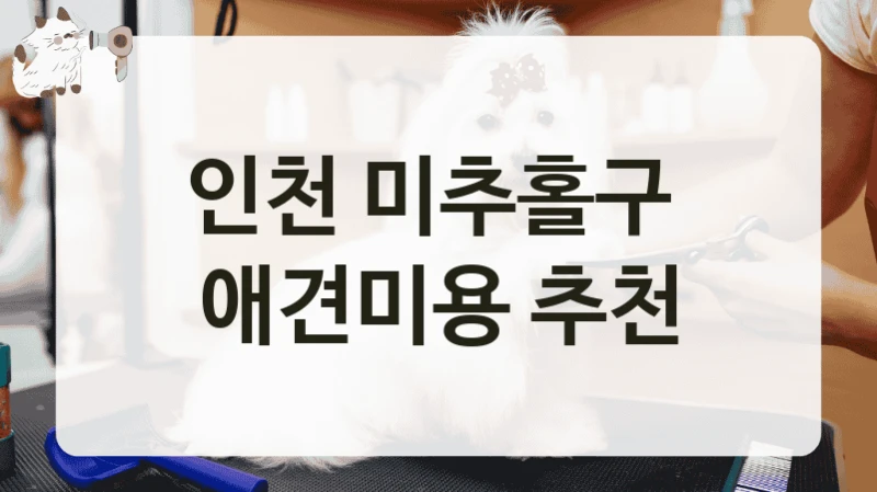 인천 미추홀구  애견미용 추천