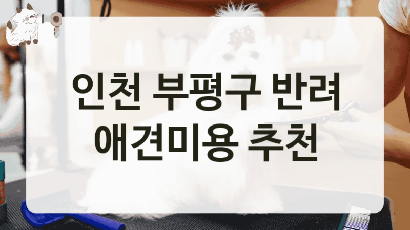 인천 부평구 반려 애견미용 추천