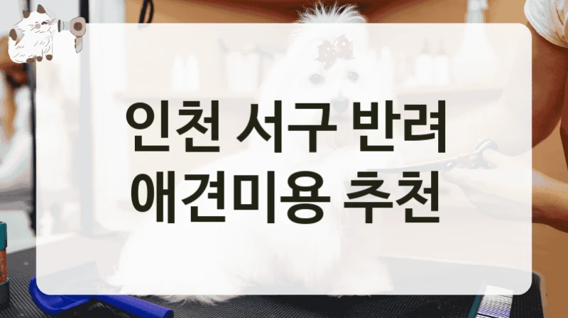 인천 서구 반려 애견미용 추천