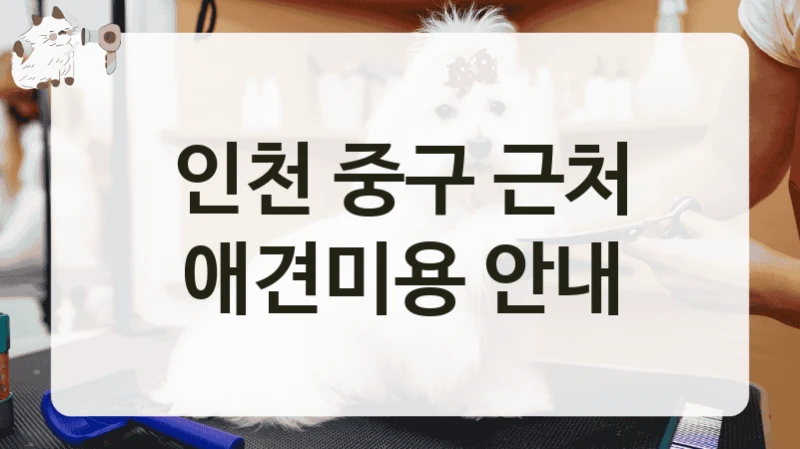 인천 중구 근처 애견미용 안내