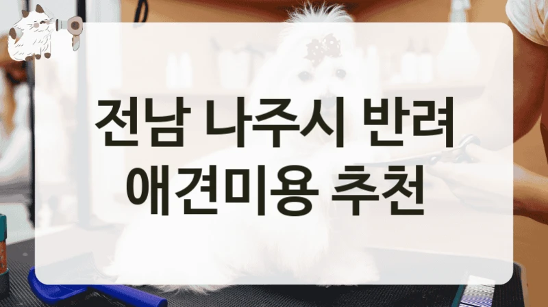 전남 나주시 반려 애견미용 추천