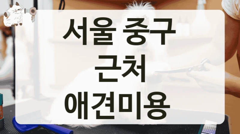 서울 중구 근처 애견미용