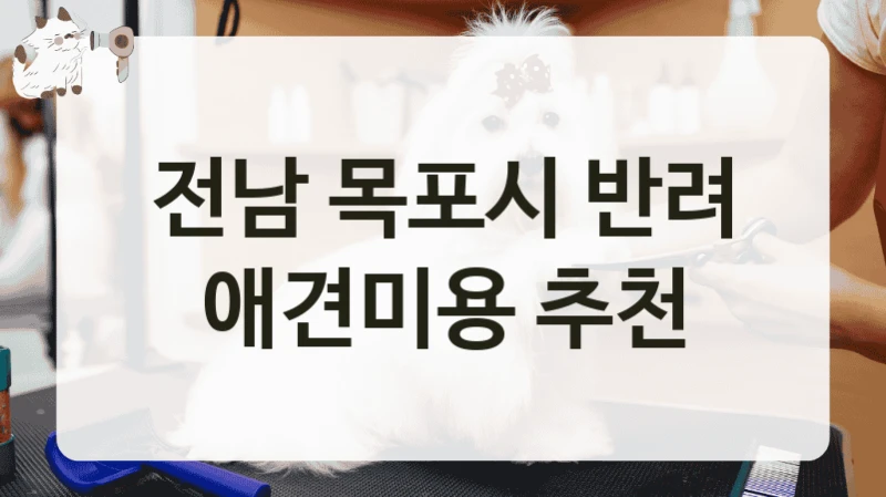 전남 목포시 반려 애견미용 추천