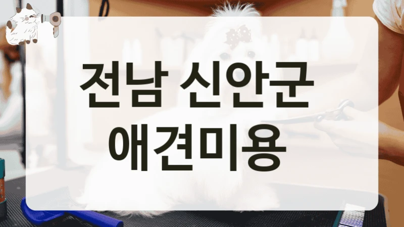 전남 신안군  애견미용