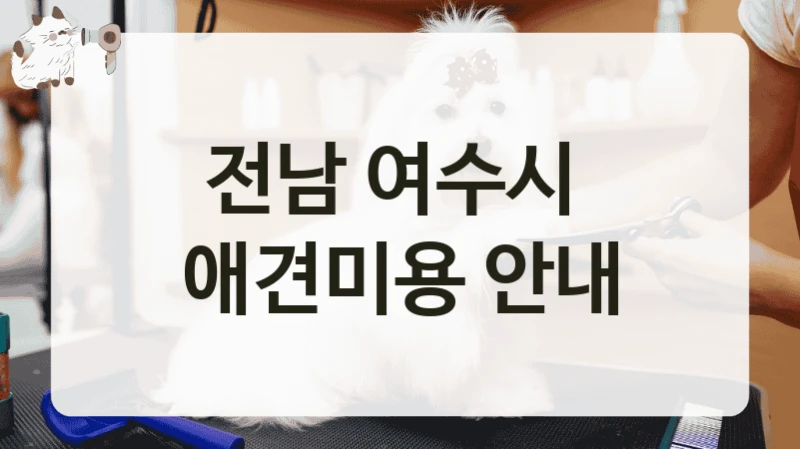 전남 여수시  애견미용 안내