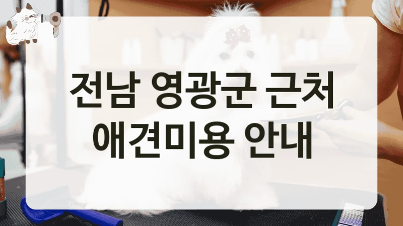 전남 영광군 근처 애견미용 안내