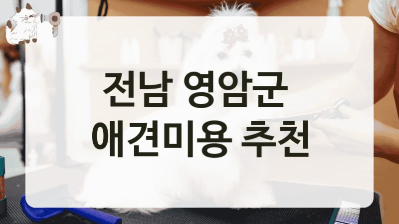 전남 영암군  애견미용 추천