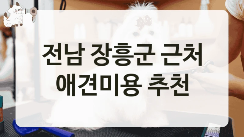 전남 장흥군 근처 애견미용 추천