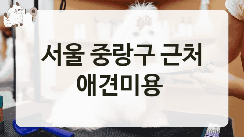 서울 중랑구 근처 애견미용