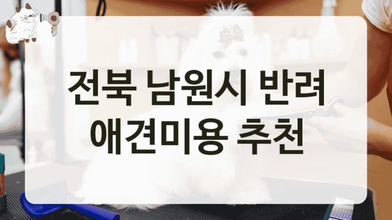 전북 남원시 반려 애견미용 추천