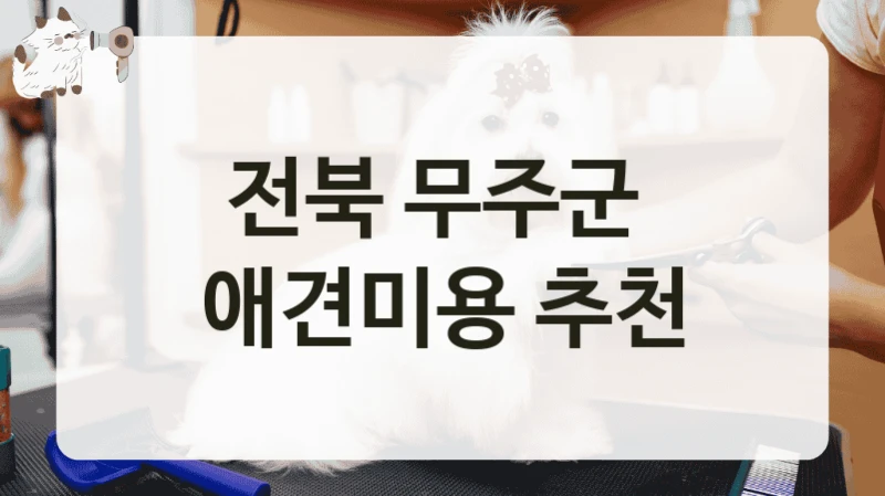 전북 무주군  애견미용 추천