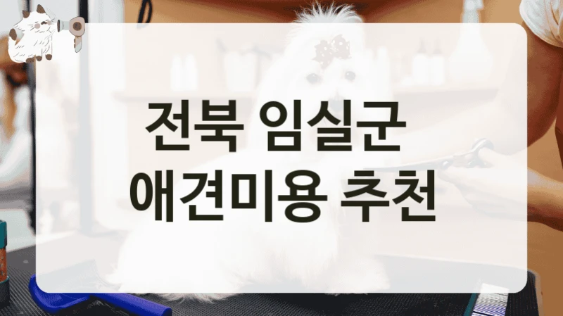 전북 임실군  애견미용 추천