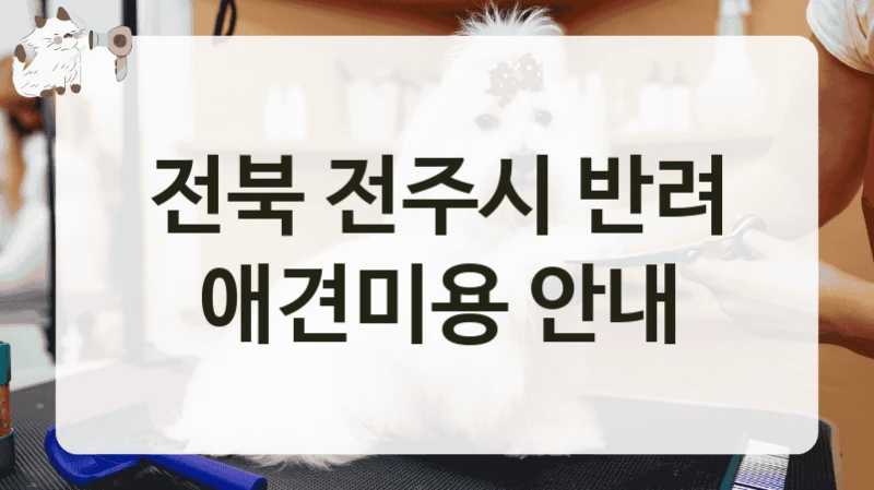 전북 전주시 반려 애견미용 안내