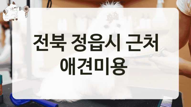 전북 정읍시 근처 애견미용