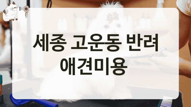 세종 고운동 반려 애견미용