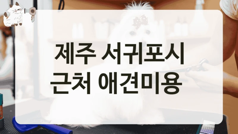 제주 서귀포시 근처 애견미용