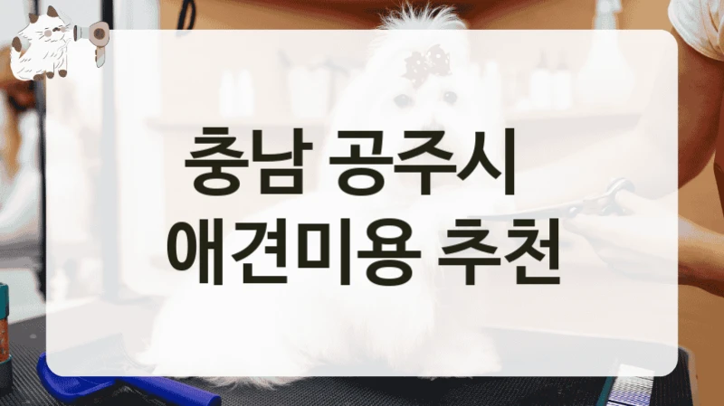 충남 공주시  애견미용 추천