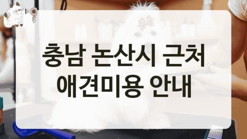 충남 논산시 근처 애견미용 안내