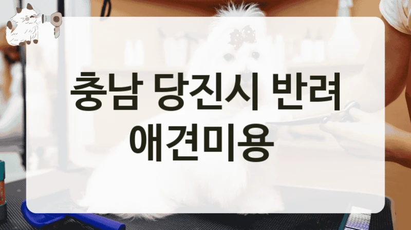 충남 당진시 반려 애견미용