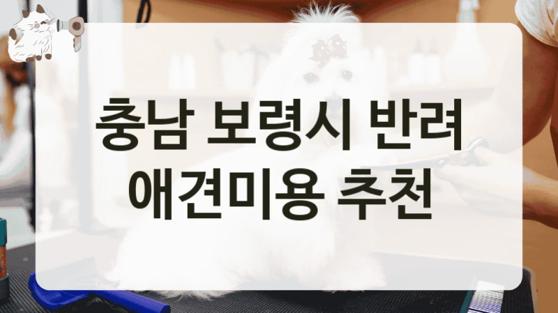 충남 보령시 반려 애견미용 추천