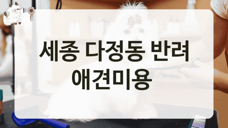 세종 다정동 반려 애견미용