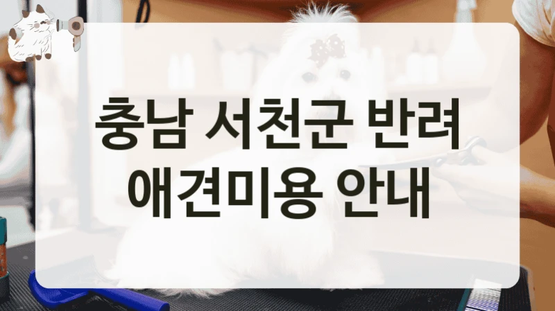 충남 서천군 전문 미용 가능한 애견미용 업체 인기 매장, 이용료와 서비스 팁