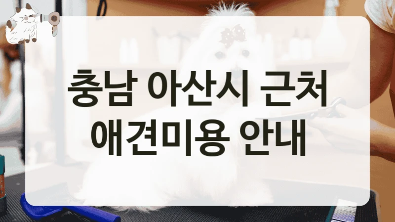 충남 아산시 프라이빗 애견미용 샵 추천, 비용 및 후기