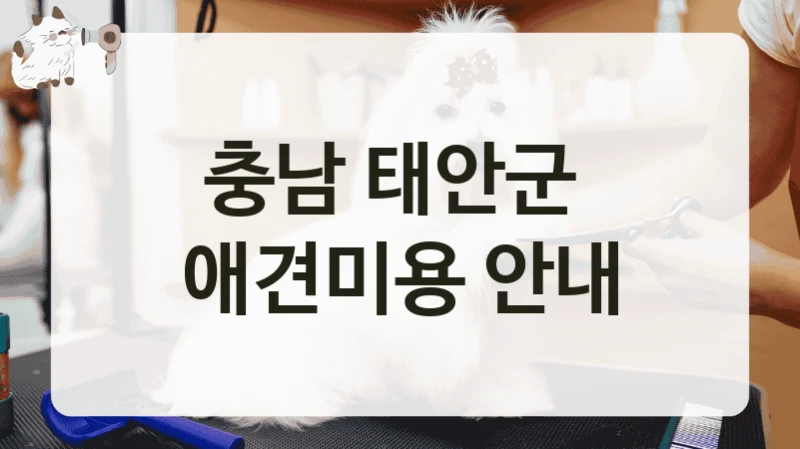 충남 태안군  애견미용 안내