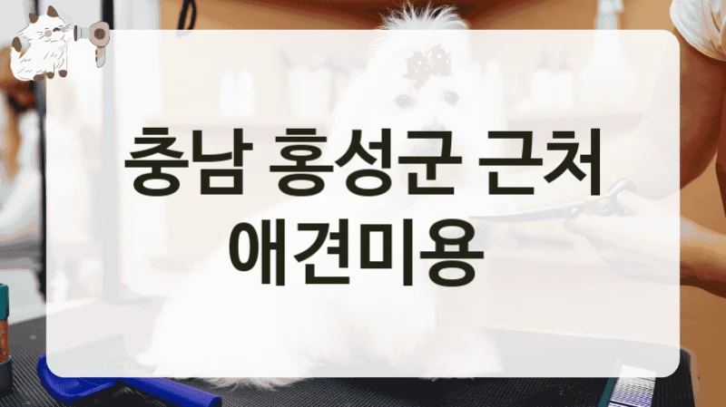 홍성군 반려견 전문 애견미용 미용업체 소개, 서비스 요금