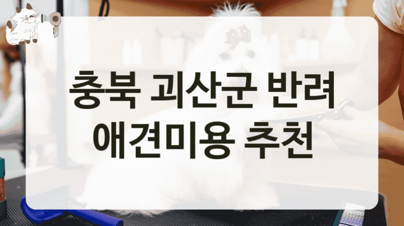 괴산군 강아지와 함께 가기 좋은 애견미용 미용업체 추천, 서비스 요금