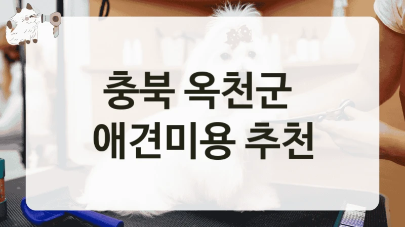 충북 옥천군  애견미용 추천