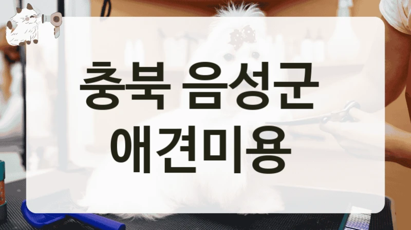 충북 음성군 소형견부터 대형견까지 애견미용 살롱 TOP 추천, 비용 및 운영 정보