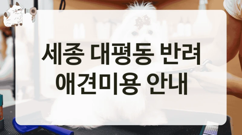 세종 대평동 반려 애견미용 안내