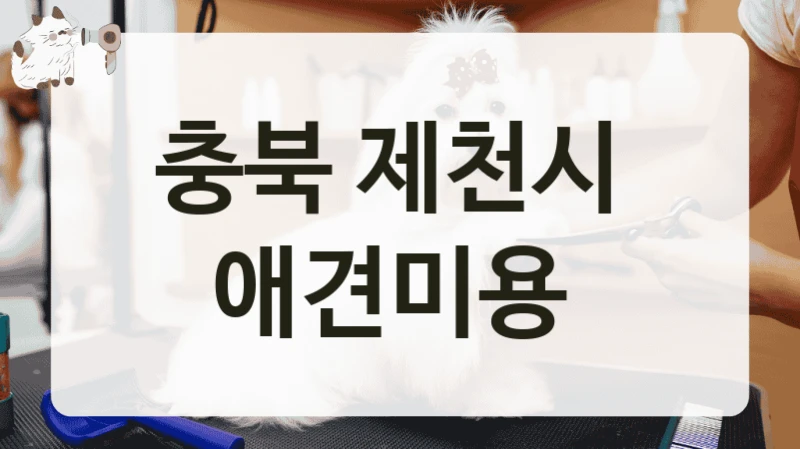 충북 제천시 모든 견종 맞춤 애견미용 업체 인기 매장, 비용 및 운영 정보