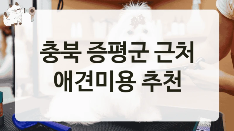 충북 증평군 경력 많은 디자이너 제공하는 애견미용 추천 샵 및 비용 안내