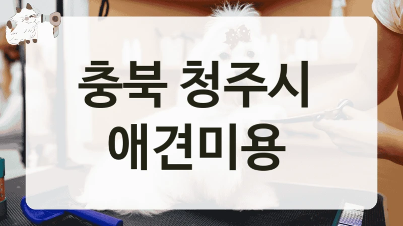 충북 청주시 세심한 관리 애견미용 미용샵 안내, 서비스 항목별 비용