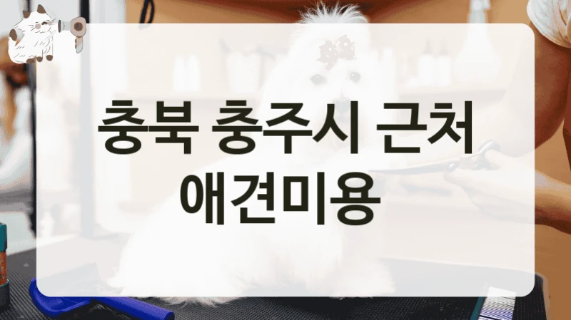 충북 충주시 소형견부터 대형견까지 애견미용 업체 인기 매장, 비용 및 운영 정보