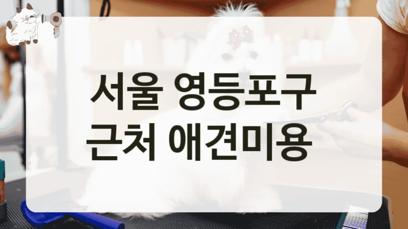 서울 영등포구 근처 애견미용
